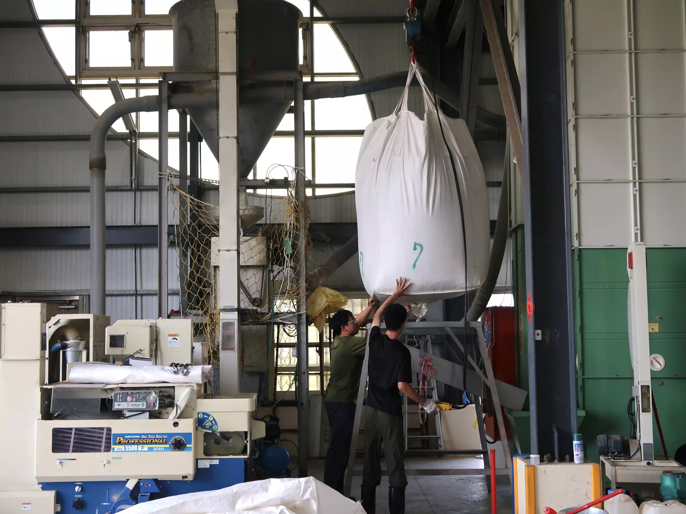 友善耕作小農的稻穀