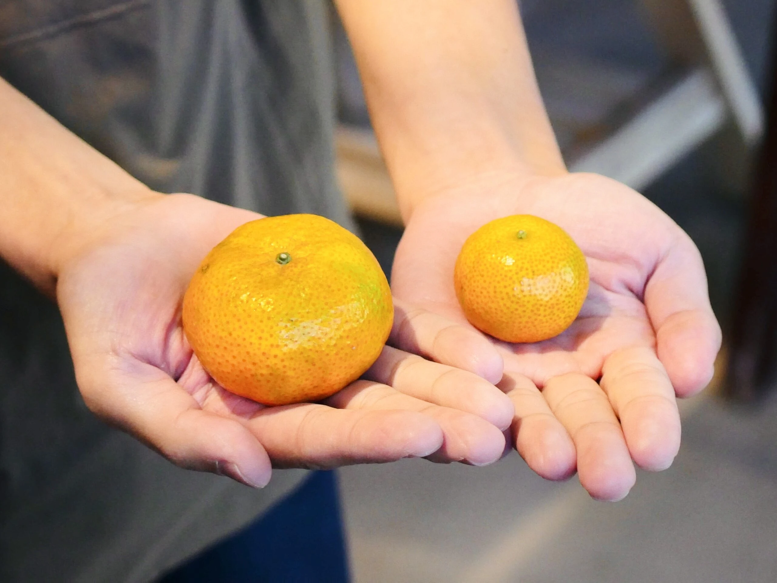 剝開的砂糖橘特寫