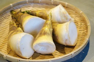 吳漢鐘｜員山友善綠竹筍