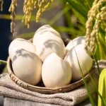 溫溫手工皂｜寶寶米皂