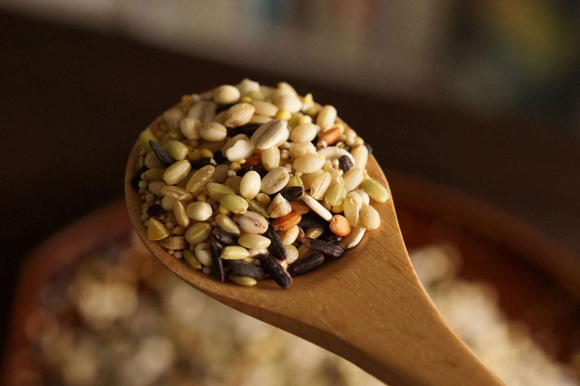 紅藜、糙米、白米三種穀物並排對照