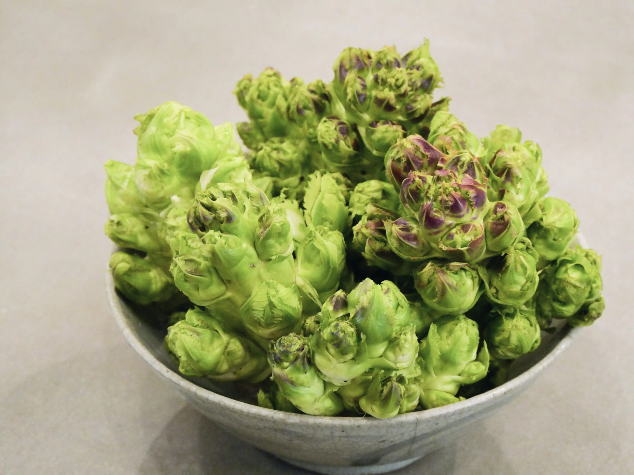 【季節限定】高山翡翠娃娃菜:圖片 4