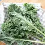 蔬菜保存