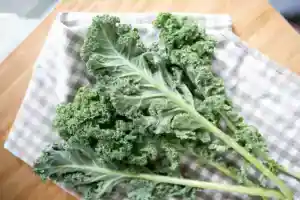 蔬菜保存
