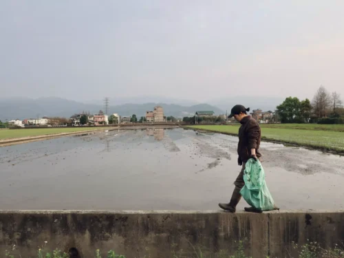 勝美の米・踏挖挖たわわ：圖片 3