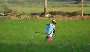 農藥清洗